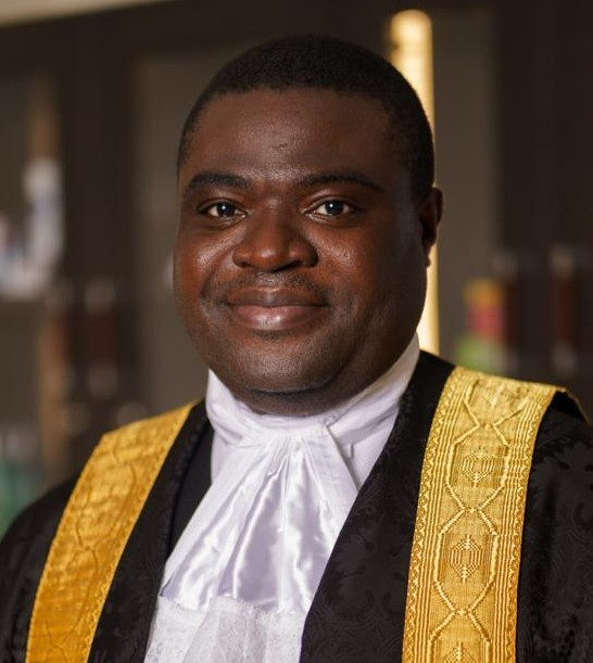 Image for Dr. Damilola S. Olawuyi, SAN, FCIArb